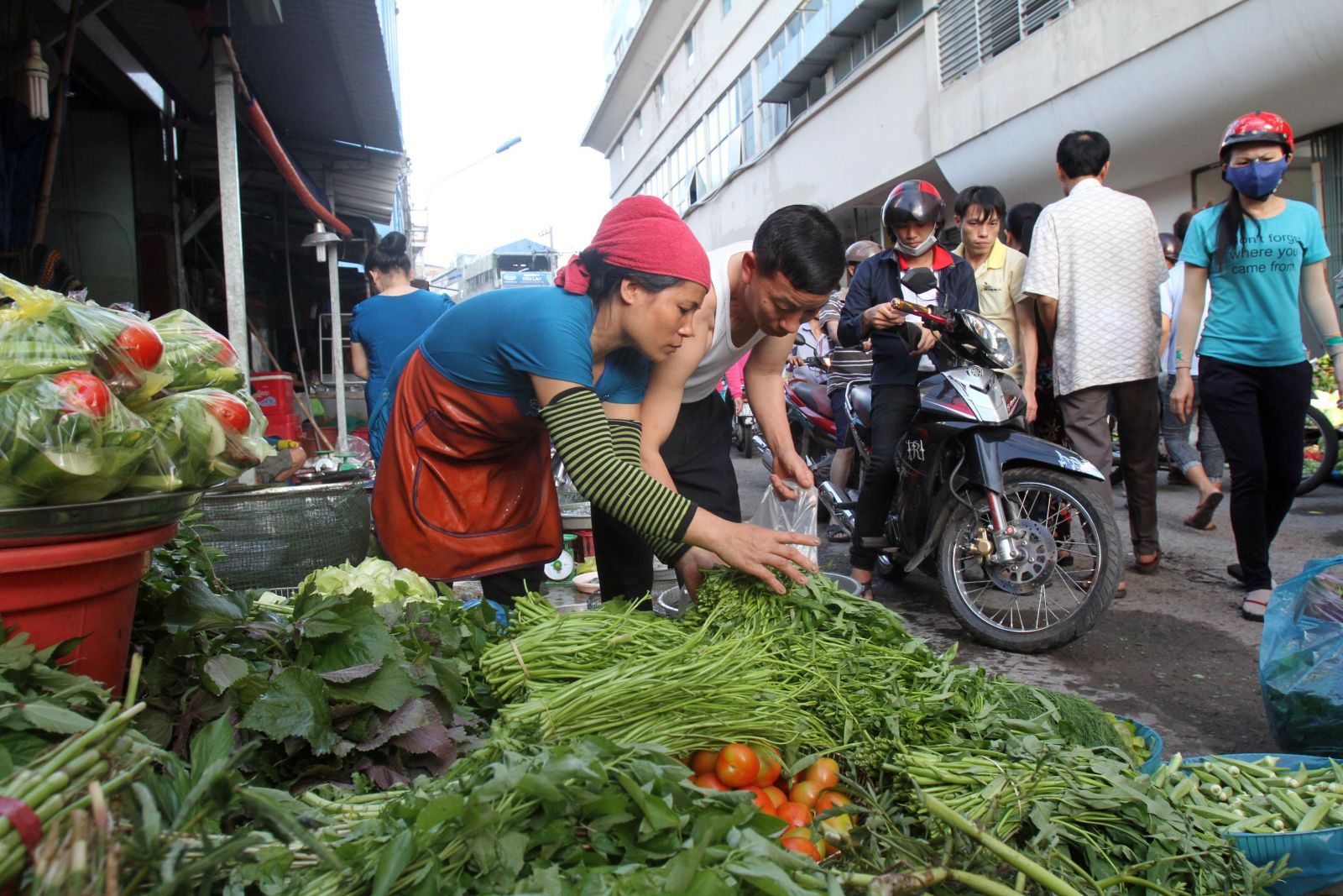 Tiêu dùng trong tuần: Giá vàng, gas và trái cây giảm mạnh, trong khi giá rau tăng đột biến