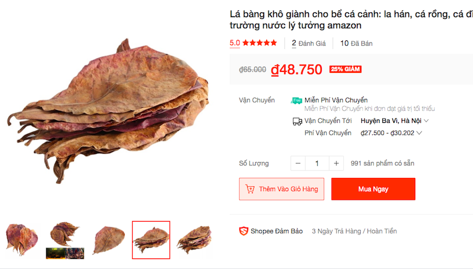 Lá bàng khô "gây sốt" với giá bán 1.000/đồng/lá