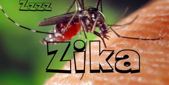 Phát hiện 1 nam thanh niên ở Đà Nẵng nhiễm Zika