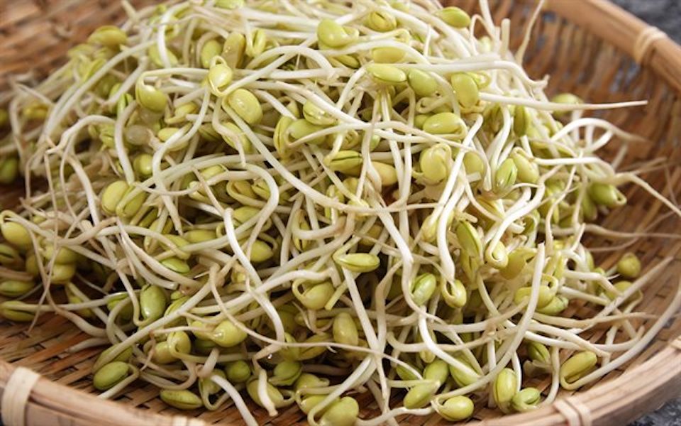 Cách phân biệt giá đỗ sạch với giá đỗ ngâm hóa chất