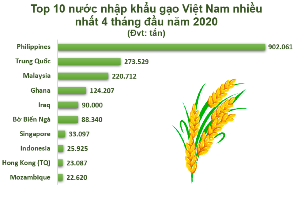 Việt Nam trúng thầu xuất 30 nghìn tấn gạo trắng cho Philippines