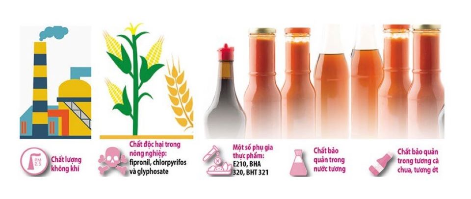 Mách bạn 5 "bí kíp" thải độc cấp tốc cho da mụn tại nhà