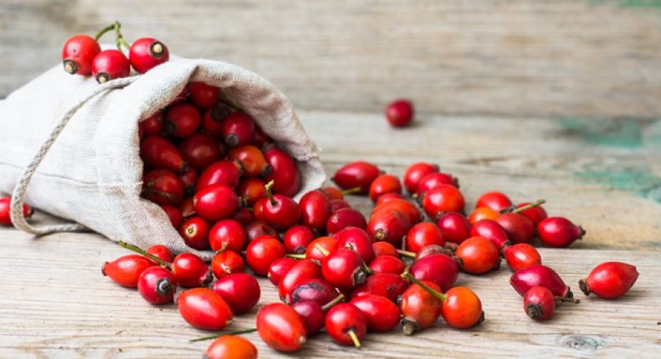 Bật mí 5 cách trị sẹo mụn bằng thảo dược hiệu quả