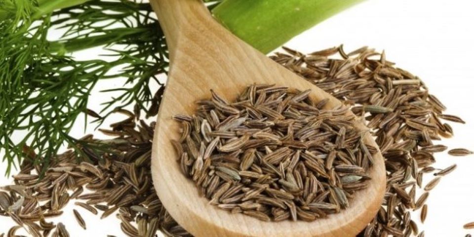 Bật mí 5 cách trị sẹo mụn bằng thảo dược hiệu quả