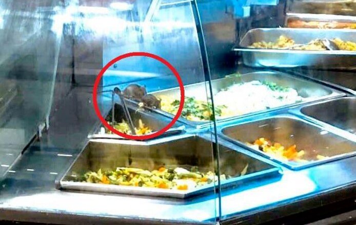 Chuột bò trong quầy thức ăn tại Aeon Tân Phú TP Hồ Chí Minh