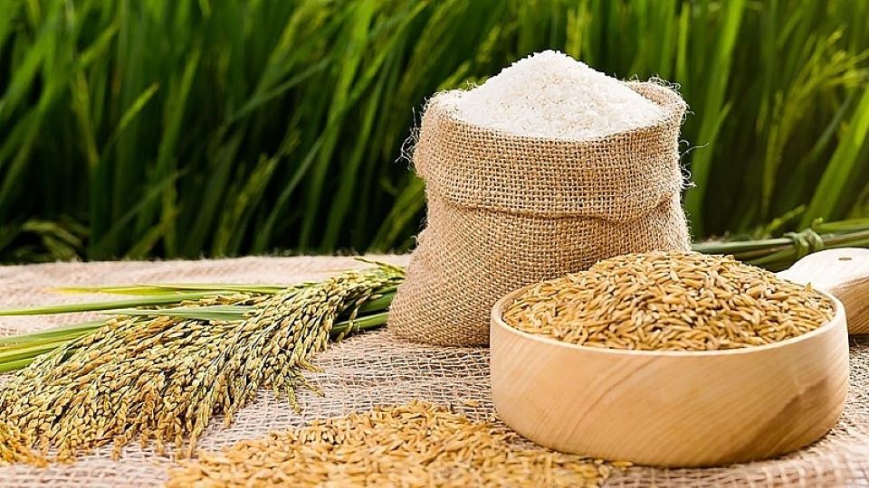 8 giấc mơ báo hiệu bạn sắp gặp may mắn, đón tài lộc