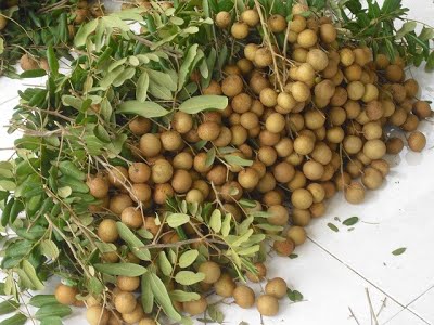 Tiêu dùng trong tuần: Giá vàng và rau củ tăng mạnh, trong khi trái cây rớt giá thê thảm