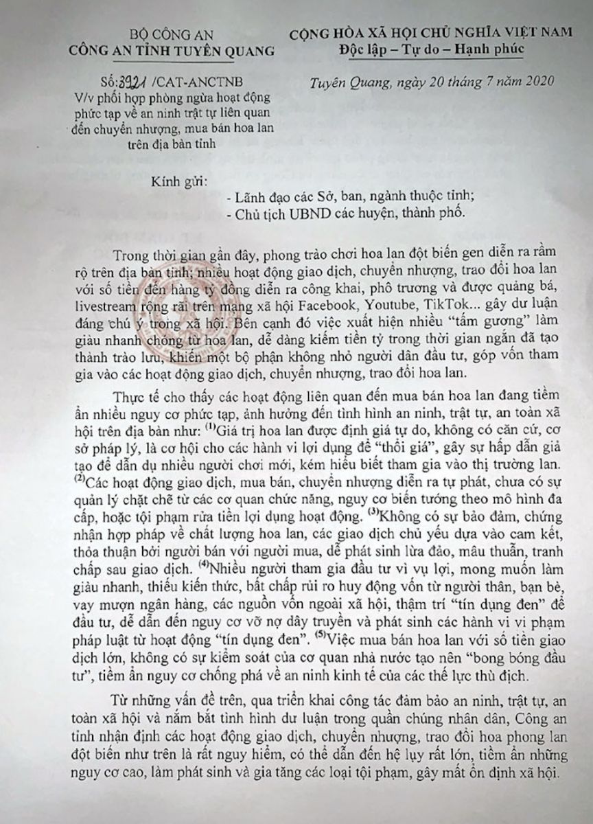 "Loạn" Lan Phi điệp đột biến tiền tỷ, giờ “bán tháo, bán đổ” ai mua?