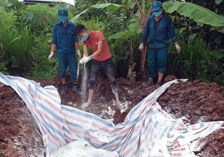 Giá heo hơi hôm nay 14/8: Dịch tả heo châu Phi bùng phát, giá heo sẽ tăng trở lại?