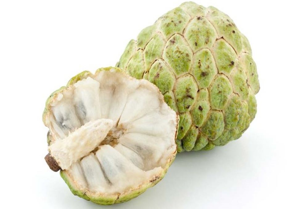 Cách chọn quả na vừa ngon, dày cùi lại không ủ thuốc