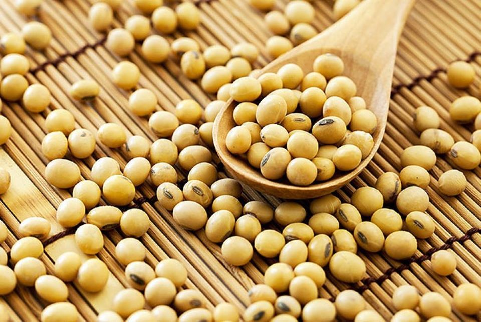 4 thứ cấm kỵ không nên ăn cùng thịt bò