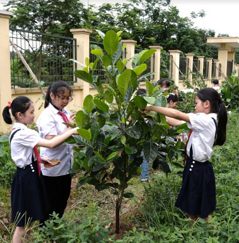 Vinamilk và hành trình 9 năm trồng cây góp phần chống biến đổi khí hậu, ô nhiễm môi trường