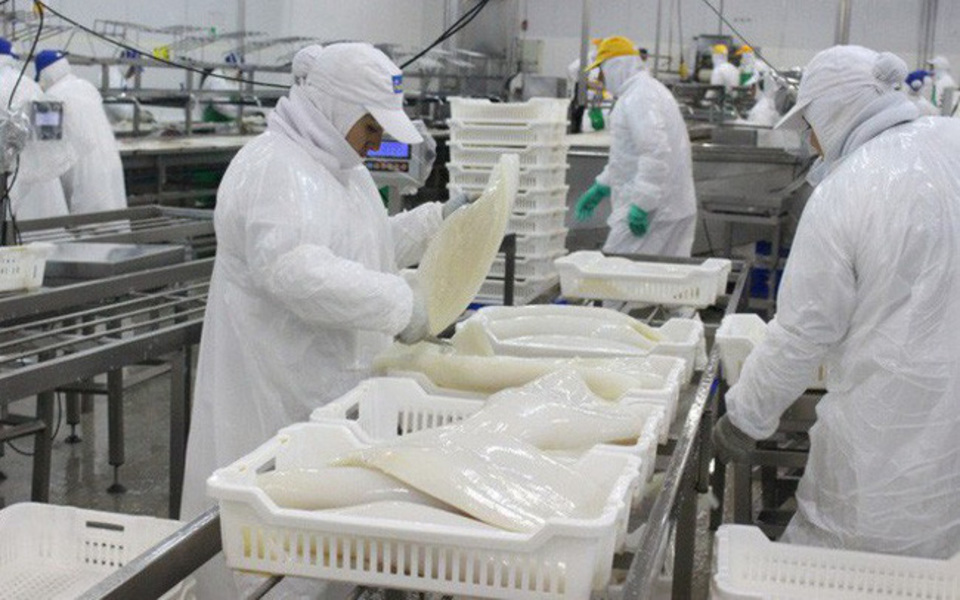 8 tháng đầu năm, xuất khẩu mực, bạch tuộc sang Trung Quốc tăng 53%