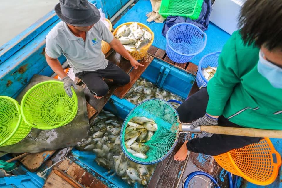 Người dân miền Trung vội bán tháo cá, tôm...sợ bão số 9