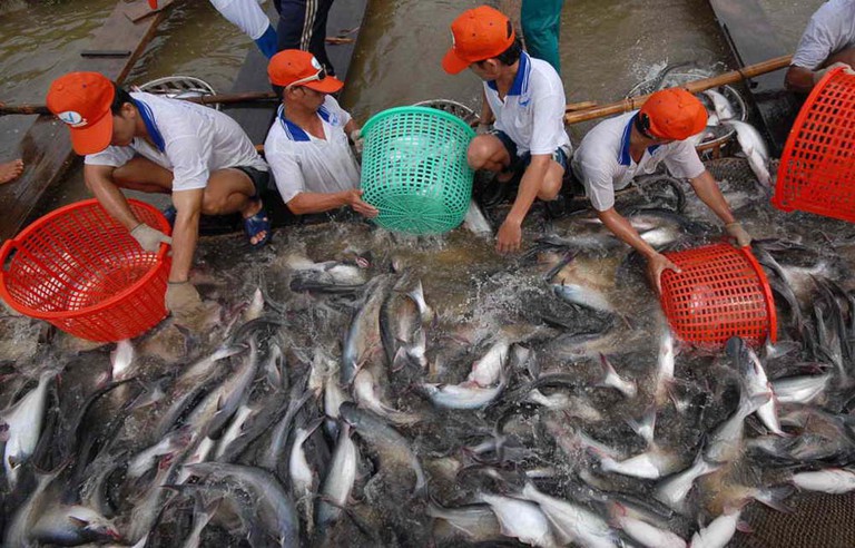 Tiêu dùng trong tuần: Giá vàng giảm mạnh, trong khi giá thực phẩm tăng phi mã