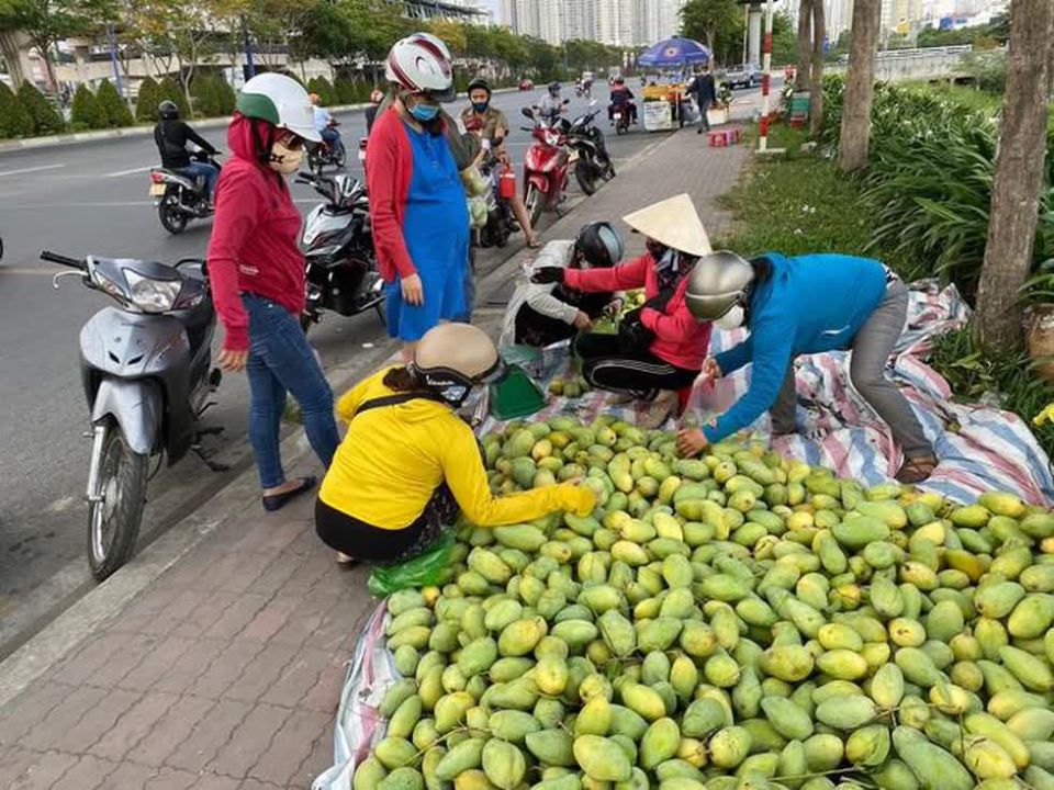 Trái cây giá rẻ đổ đống bán đầy trên các tuyến đường ở TP Hồ Chí Minh