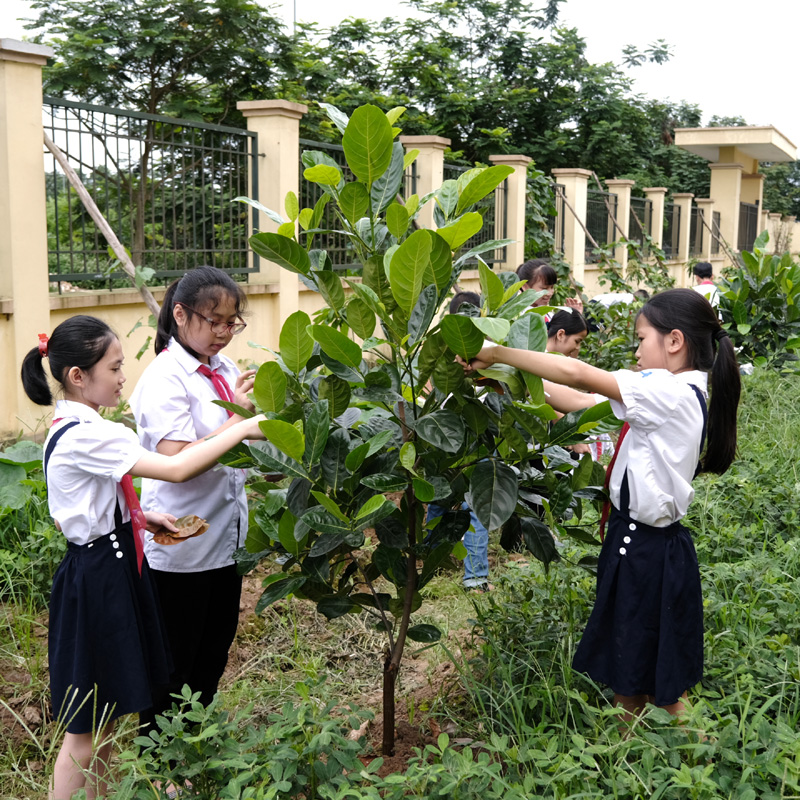 Cộng đồng mạng quyết tâm "phủ xanh" mạng xã hội và câu chuyện dễ thương đằng sau