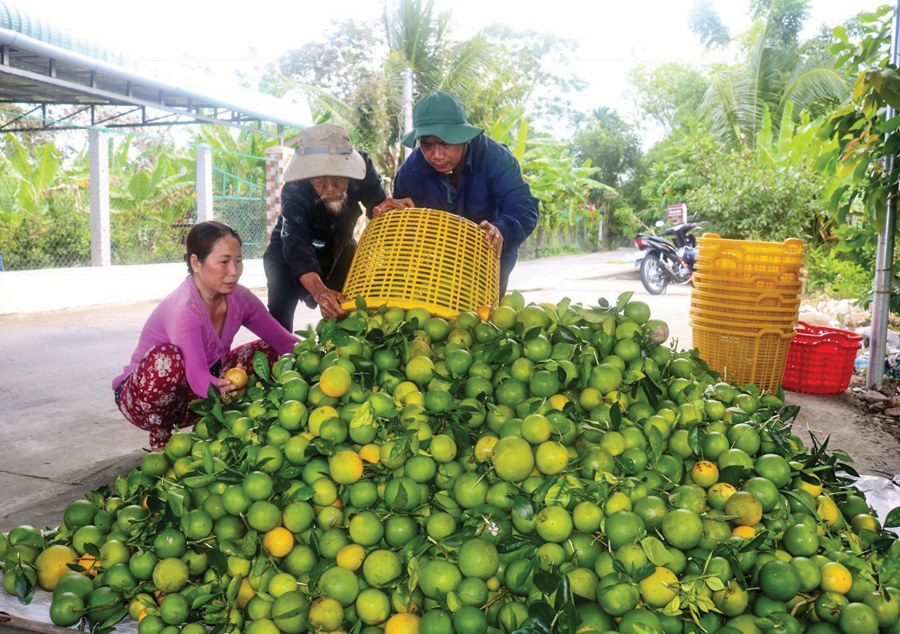 Tiêu dùng trong tuần: Giá vàng, trái cây, xăng dầu đồng loạt giảm mạnh