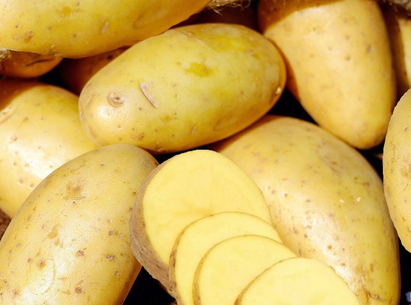 Mẹo bảo quản khoai tây tươi ngon không bị mọc mầm