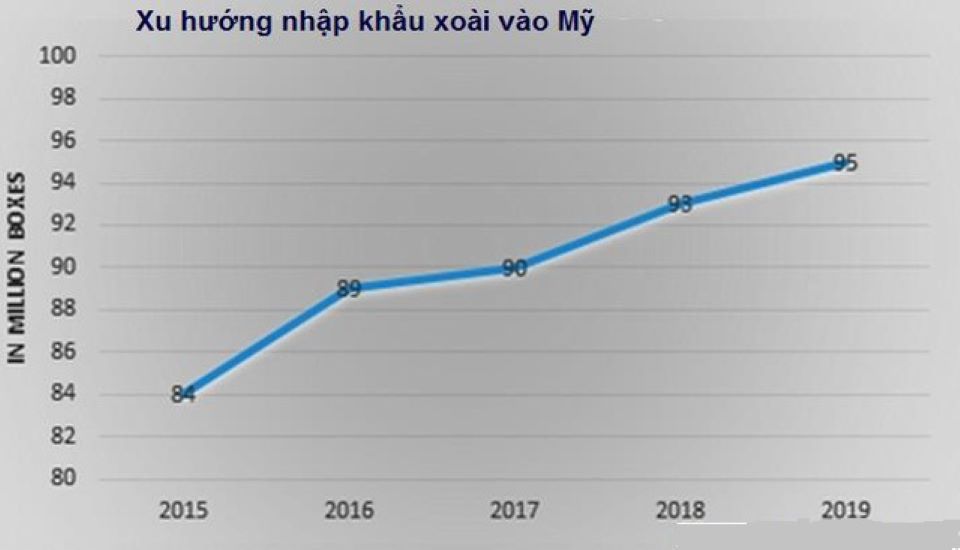 Xoài Việt Nam tiếp tục được mở rộng thị phần tại thị trường Mỹ