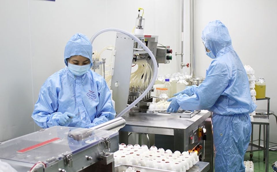 Việt Nam sản xuất vaccine phòng cúm A(H5N1) chủng mới