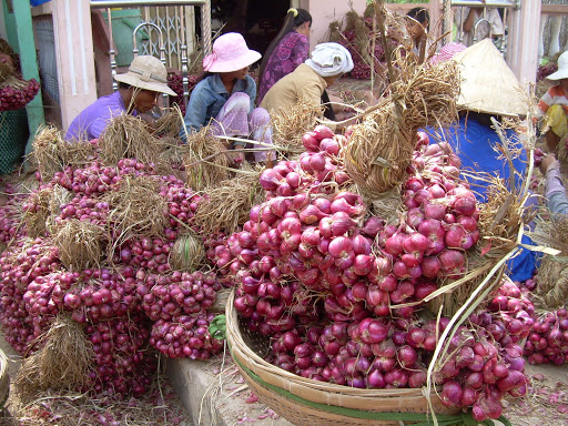 Tiêu dùng trong tuần: Giá vàng, gas, tôm, hành tím đồng loạt tăng mạnh