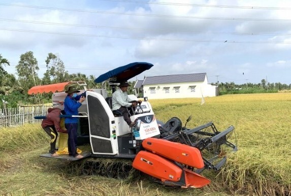 Sóc Trăng cần đẩy nhanh mở rộng vùng sản xuất giống lúa ST25