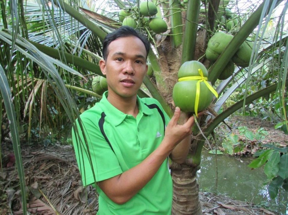 Dừa tạo hình, in chữ nổi 'cháy hàng' dịp Tết Nguyên Đán