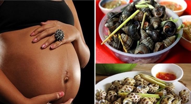Phụ nữ mang thai có nên ăn ốc không?