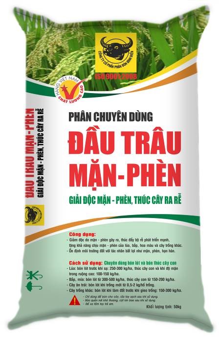 Cách phục hồi vườn cây ăn trái sau thu hoạch dịp Tết