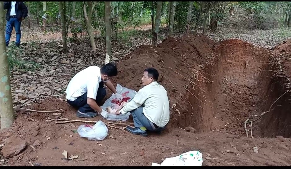 Phát hiện hố chôn lậu 138 con heo chết hôi thối ở Đồng Nai
