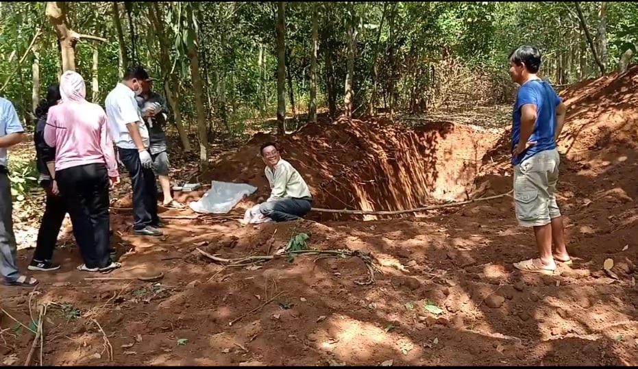 Phát hiện hố chôn lậu 138 con heo chết hôi thối ở Đồng Nai