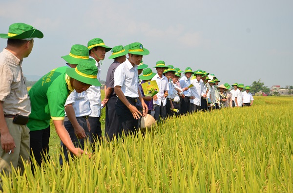 Tuổi 18 PVFCCo: Mùa hoa đẹp nhất!