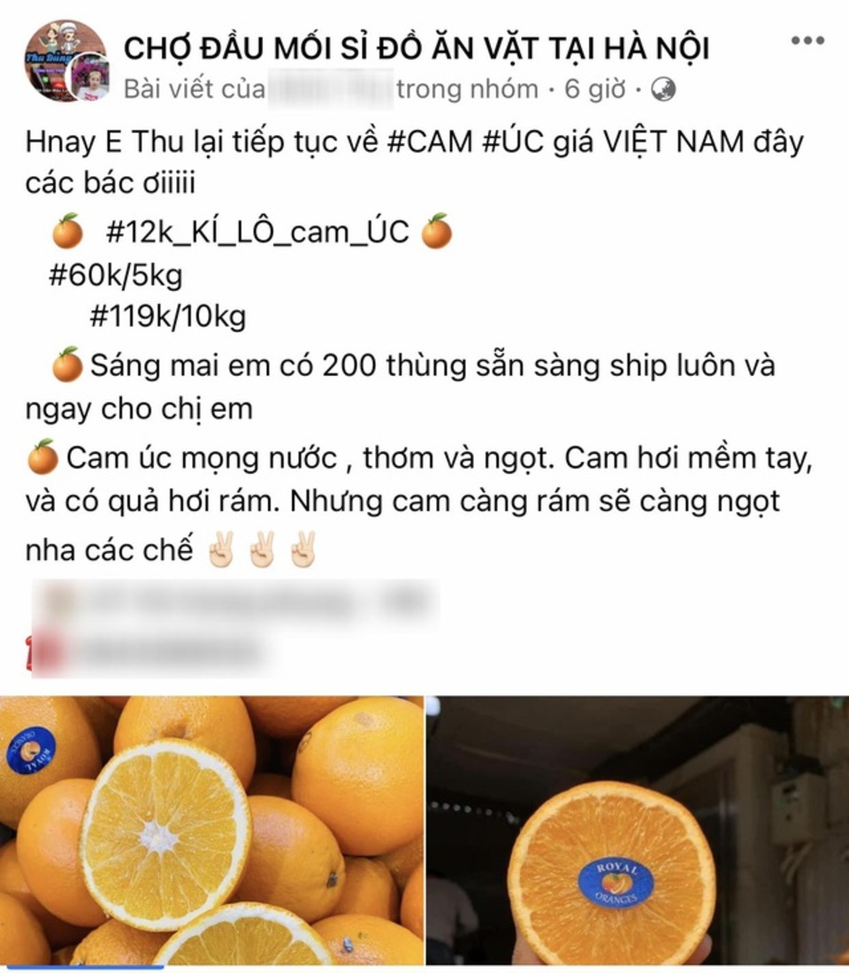 Cam Úc 12.000 đồng/kg bán đầy chợ mạng