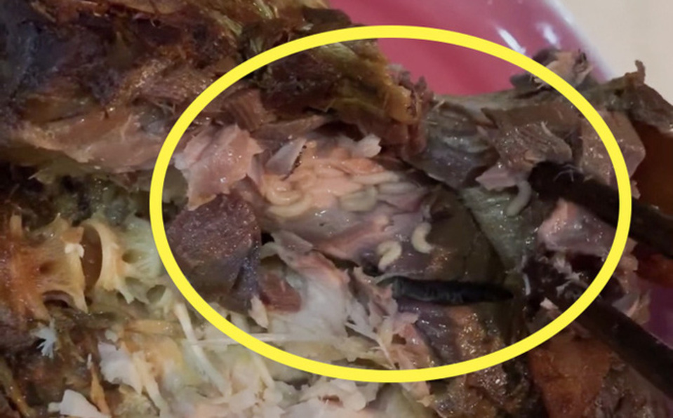 Khúc cá kho có giòi, chuỗi cửa hàng thực phẩm sạch CleverFood tạm đóng cửa