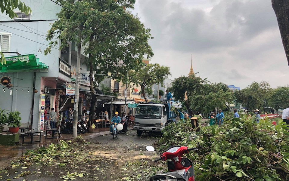 Cần Thơ: Khẩn trương rà soát hệ thống cây xanh trước mùa mưa bão