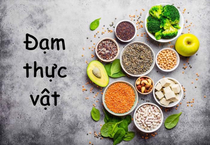 Bạn hiểu gì về đạm thực vật?