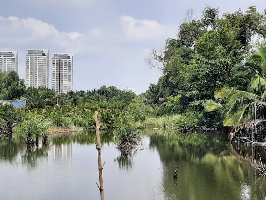 Bán đảo Bình Quới – Thanh Đa, TP Hồ Chí Minh: Nhiều đại gia “ve vãn” rồi bỏ rơi, dân phải chờ đến bao giờ?