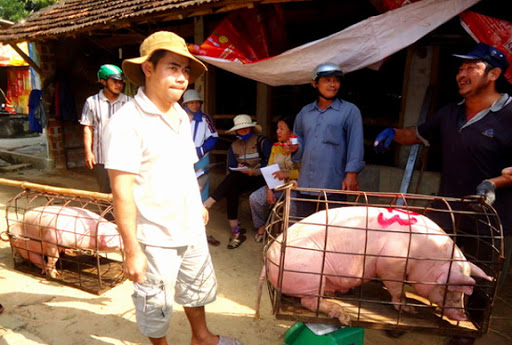 Giá heo hơi hôm nay 9/6/2021: Chững giá, chờ đợi tín hiệu tăng mới