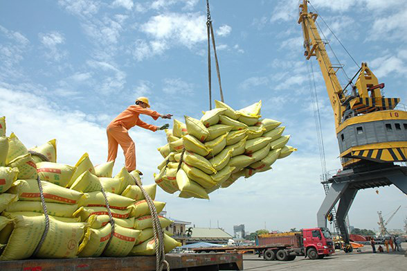 Tháng 5/2021, xuất khẩu gạo thu về 339 triệu USD