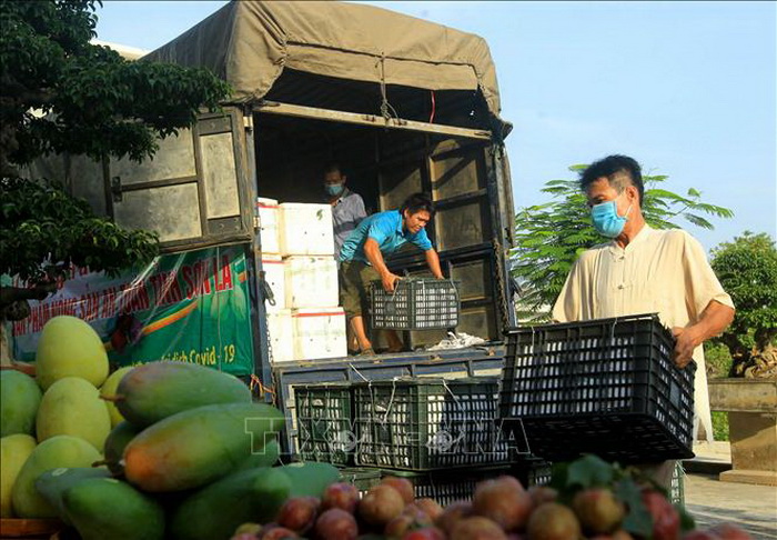 Người điều khiển, hành khách trên phương tiện giao thông ra vào TP Hồ Chí Minh phải có Giấy xét nghiệm âm tính SARS-CoV-2