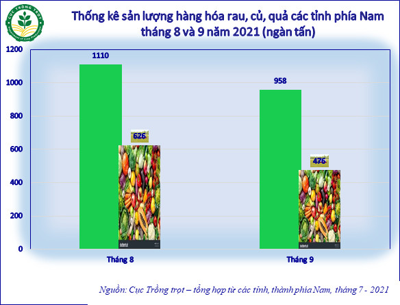 Nhiều địa phương kiến nghị bỏ “luồng xanh”, để hàng hóa lưu thông tự do