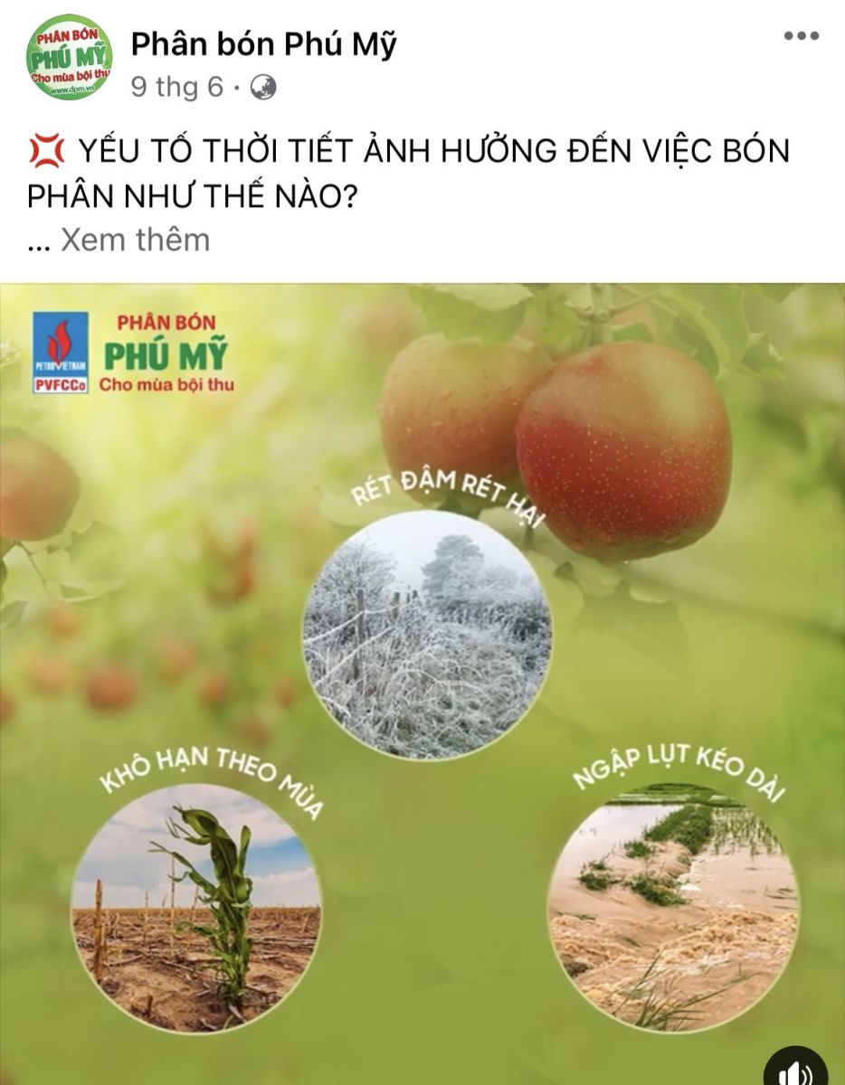 Nỗ lực và tấm lòng của người lao động PVFCCo trong đại dịch