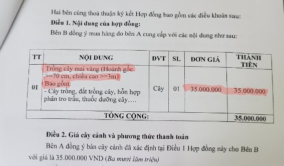 Tiếp bài “Kiên Giang: Nhiều dấu hiệu sai phạm tại UBND huyện Tân Hiệp”: Lãnh đạo huyện nói gì?