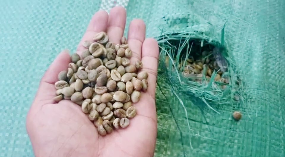 Bắt giữ 42 tấn hạt cà phê không rõ nguồn gốc ở An Giang