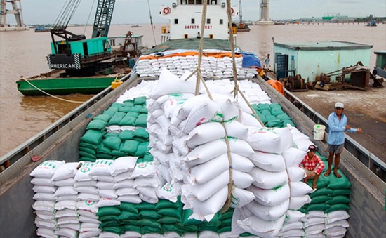 Xuất khẩu gạo 2 tháng đầu năm 2022 thu về gần 469,26 triệu USD