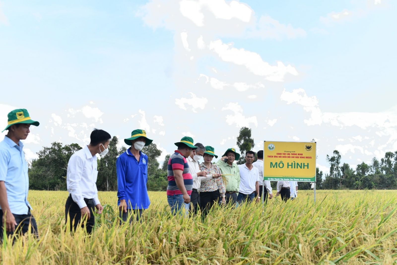 “Canh tác lúa thông minh” phải xem là quy trình sản xuất lúa cho toàn vùng và cả nước