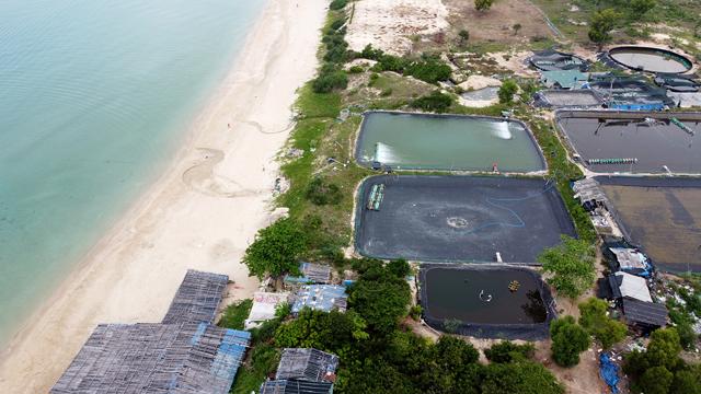 Khánh Hòa: Trại nuôi tôm trong Khu nghỉ mát Hoàng Gia gây ô nhiễm biển Bãi Dài