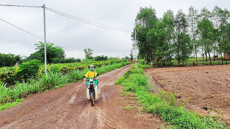 Dofico "ôm" hàng nghìn hecta đất Nhà nước rồi bỏ hoang nhiều năm, giờ đề nghị trả lại