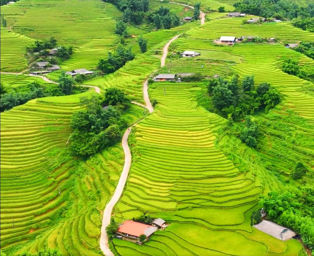 Tour đường bộ ngắn ngày lên ngôi "nhờ" giá vé máy bay cao ngất ngưởng